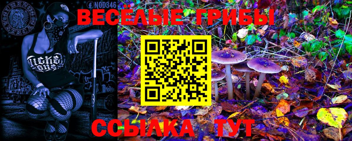 Галлюциногенные грибы прущие грибы  Вход с VPN  Ефремов 